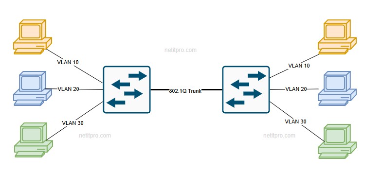 802.1Q Trunk