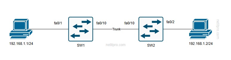 Configure Trunk