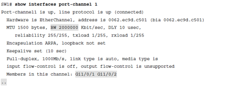 EtherChannel
