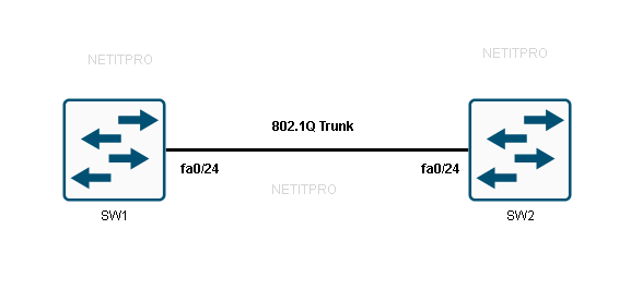 Native VLAN